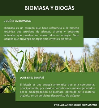 BIOMASA Y BIOGÁS
POR: ALEJANDRO JOSUÉ RUIZ MAZZEO
¿QUÉ ES LA BIOMASA?
Biomasa es un termino que hace referencia a la materia
orgánica que proviene de plantas, árboles y desechos
animales que pueden ser convertidos en energía. Todo
aquello que provenga de organismos vivos es biomasa.
Alejandro Ruiz Mazzeo
¿QUÉ ES EL BIOGÁS?
El biogás es una energía alternativa que esta compuesta,
principalmente, por dióxido de carbono y metano generados
por la biodegradación de biomasa, obtenida de la materia
orgánica en un ambiente desprovisto de oxígeno.
 