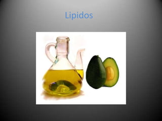 Lipidos
 