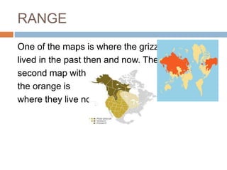RANGE
One of the maps is where the grizzly
lived in the past then and now. The
second map with
the orange is
where they live now.
 
