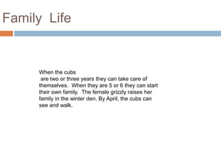 Family Life
When the cubs
are two or three years they can take care of
themselves. When they are 5 or 6 they can start
their own family. The female grizzly raises her
family in the winter den. By April, the cubs can
see and walk.
 