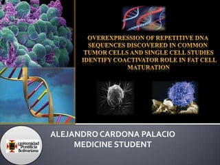 OVEREXPRESSION OF REPETITIVE DNA  SEQUENCES DISCOVERED IN COMMON  TUMOR CELLS AND SINGLE CELL STUDIES  IDENTIFY COACTIVATOR ROLE IN FAT CELL  MATURATION   ALEJANDRO CARDONA PALACIO MEDICINE STUDENT 