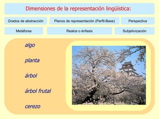 Dimensiones de la representación lingüística: Perspectiva Grados de abstracción Planos de representación (Perfil-Base) Subjetivización Metáforas Realce o énfasis algo planta árbol árbol frutal cerezo 