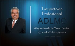 Alejandro de la mora consultor 2016