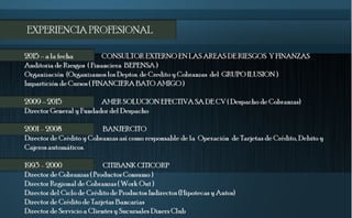 Alejandro de la mora consultor 2016