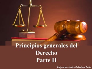 Principios generales del
Derecho
Parte II
Alejandro Jesús Ceballos Peña
 