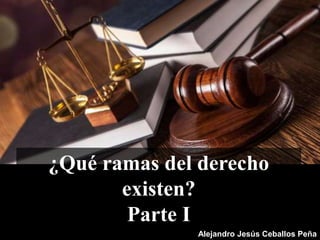 ¿Qué ramas del derecho
existen?
Parte I
Alejandro Jesús Ceballos Peña
 
