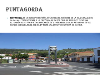  Puntagorda es un municipio español situado en el noroeste de la isla canaria de
La Palma, perteneciente a la provincia de Santa Cruz de Tenerife. Tiene una
extensión de 31,10 km² y una población de 2.108 habitantes. Su altitud es de 600
metros sobre el nivel del mar y tiene una longitud de costa de 8,80 km.
 