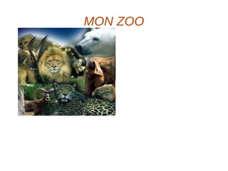 MON ZOO 