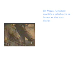En Mieza, Alejandro
montaba a caballo con su
instructor dos horas
diarias.
 