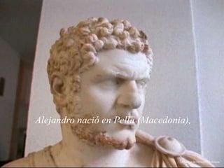 Alejandro nació en Pella (Macedonia),
La Estatua de Hércules., Antioquia.
 