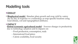 Precision agriculture in smallholder systems: From innovation to evidence