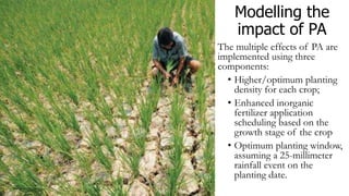 Precision agriculture in smallholder systems: From innovation to evidence