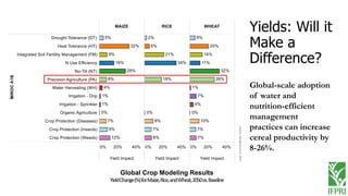 Precision agriculture in smallholder systems: From innovation to evidence