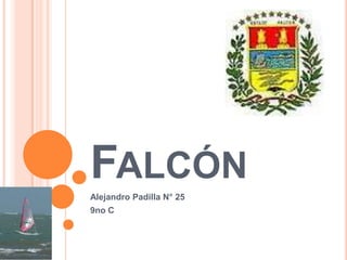 FALCÓN
Alejandro Padilla N° 25
9no C

 