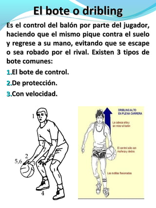 El bote o driblingEl bote o dribling
Es el control del balón por parte del jugador,Es el control del balón por parte del jugador,
haciendo que el mismo pique contra el suelohaciendo que el mismo pique contra el suelo
y regrese a su mano, evitando que se escapey regrese a su mano, evitando que se escape
o sea robado por el rival. Existen 3 tipos deo sea robado por el rival. Existen 3 tipos de
bote comunes:bote comunes:
1.1.El bote de control.El bote de control.
2.2.De protección.De protección.
3.3.Con velocidad.Con velocidad.
 