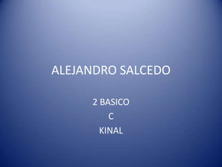ALEJANDRO SALCEDO 2 BASICO  C KINAL 