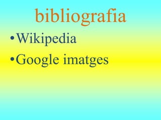 bibliografia
•Wikipedia
•Google imatges
 