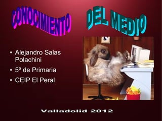 ●   Alejandro Salas
    Polachini
●   5º de Primaria
●   CEIP El Peral
 