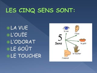  LA VUE
L’OUÏE
L’ODORAT
LE GOÛT
LE TOUCHER