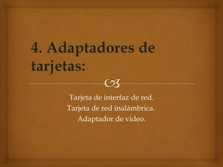 Tarjeta de interfaz de red.
Tarjeta de red inalámbrica.
Adaptador de video.
 