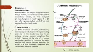 Immune regulation and hypersensitivity reactionshppt.pptx