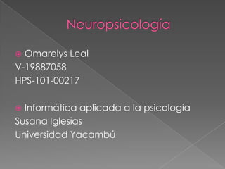 Neuropsicología Omarelys Leal V-19887058 HPS-101-00217 Informática aplicada a la psicología Susana Iglesias Universidad Yacambú 