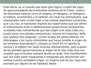 Esta teoría, es un estudio que tiene gran lógica: a partir del vapor
de agua procedente de la actividad volcánica de la Tierra, unida a
los elementos básicos como el oxígeno, el nitrógeno, el hidrógeno,
el metano, el amoníaco y el carbono, se crean los aminoácidos, que
relacionados entre sí dan lugar a los enlaces peptídicos (proteínas),
que a su vez, al fusionarse originan los coacervados que por último,
al cohesionarse entre sí abióticamente proporcionan protobiontes
(unidades más rudimentarias que dan origen a la vida).Cada uno,
puede sacar sus propias conclusiones, incluso los creyentes, dado
que aparece otra pregunta: ¿Cómo surgen los gases básicos, los
relámpagos y los rayos ultravioletas que hacen posible el origen de
los primeros aminoácidos? ¿Quizás un Dios? En mi opinión la
ciencia y la religión han dado diversos razonamientos, pero a pesar
de las grandes aproximaciones al origen de la vida, esta será una
cuestión que el hombre siempre tendrá en duda. Una incertidumbre
que nos hace sentir impacientes e intrigantes por desconocer con
certeza nuestro verdadero origen, un enigma que tal vez, haya sido
acertado por alguna de las hipótesis dadas
 