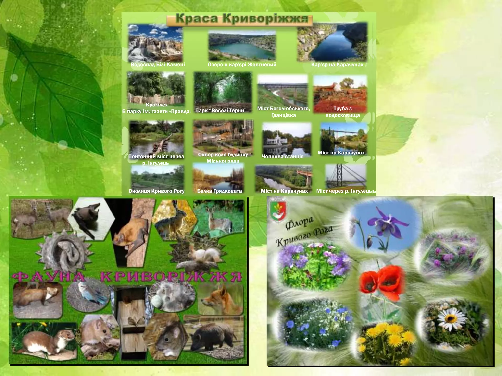 Водоспад Білі Камені Кар'єр на Карачунах
Кромлех
В парку ім. газети «Правда» Парк “Веселі Терни” Міст Боголюбського,
Гданцівка
Труба з
водосховища
Озеро в кар'єрі Жовтневий
Понтонний міст через
р. Інгулець
Сквер коло будинку
Міської ради
Човнова станція
Міст на Карачунах
Балка Грядковата Міст через р. ІнгулецьМіст на КарачунахОколиця Кривого Рогу
Водоспад Білі Камені Кар'єр на Карачунах
Кромлех
В парку ім. газети «Правда» Парк “Веселі Терни” Міст Боголюбського,
Гданцівка
Труба з
водосховища
Озеро в кар'єрі Жовтневий
Понтонний міст через
р. Інгулець
Сквер коло будинку
Міської ради
Човнова станція
Міст на Карачунах
Балка Грядковата Міст через р. ІнгулецьМіст на КарачунахОколиця Кривого Рогу
 