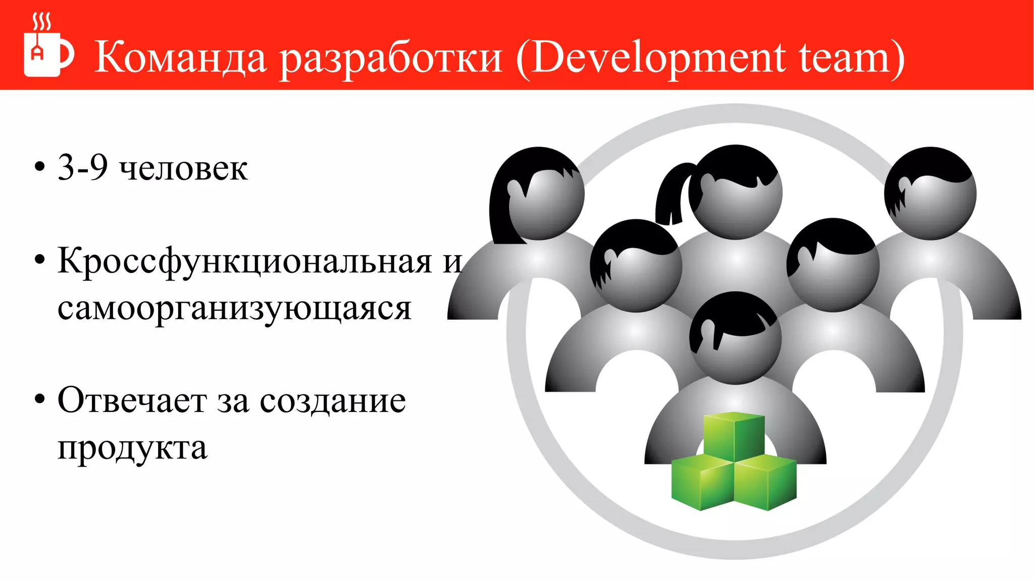 Команда разработки (Development team)
• 3-9 человек
• Кроссфункциональная и
самоорганизующаяся
• Отвечает за создание
продукта
 