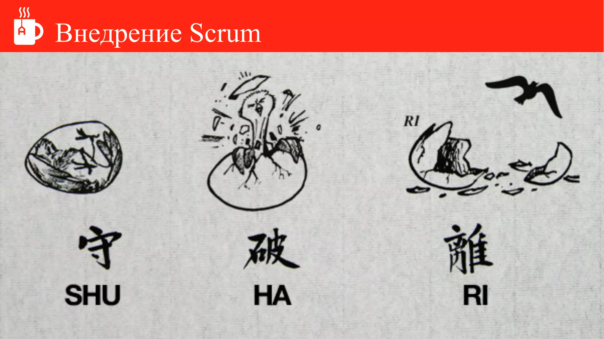 Внедрение Scrum
 