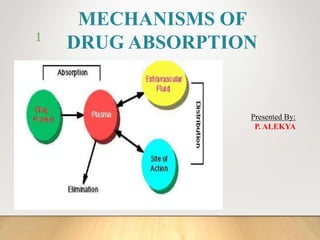MECHANISMS OF
DRUG ABSORPTION
Presented By:
P. ALEKYA
1
 