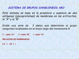 SISTEMA DE GRUPOS SANGUINEOS ABO
Este sistema se basa en la presencia o ausencia de dos
antígenos (glucoproteínas) de membrana en los eritrocitos,
la “A” y la “B”.
Existe una serie de 3 alelos que determinan el grupo
sanguíneo localizados en el brazo largo del cromosoma 9:
I A : alelo “A”

I B: alelo “B”

RELACION DE DOMINANCIA:
IA = IB > i

i : alelo “O”

 