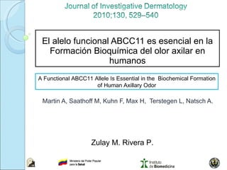El alelo funcional ABCC11 es esencial en la Formación Bioquímica del olor axilar en humanos Martin A, Saathoff M, Kuhn F, Max H,  Terstegen L, Natsch A. A Functional ABCC11 Allele Is Essential in the  Biochemical Formation of Human Axillary Odor Zulay M. Rivera P. 