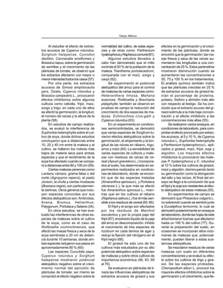 Al estudiar el efecto de extrac-
tos acuosos de Cyperus rotundus,
Sorghum halepense, Cynodon
dactilon, Cannavalia ensiformes y
Brassica napus, sobre la germinación
de semillas y el crecimiento de las
plántulas de tomate, se observó que
los extractos afectaron con mayor o
menorintensidadtodosloscasos(57).
Por otra parte, los extractos
acuosos de Simsia amplixicaulis
pers, Oxalis, Cyperus rotundus y
Brassica campestris L., provocaron
efectos inhibitorios sobre algunos
cultivos como cebolla, frijol, maíz,
sorgo y trigo; en cada uno de ellos
se afectó la germinación, la longitud,
el número de raíces y la altura de la
planta (58).
En estudios de campo realiza-
dos, se evaluó la interferencia de
Euphorbia heterophylla sobre el cul-
tivo de soya, donde dichos estudios
concluyeron que a distancias entre
10, 20 y 40 cm entre la maleza y el
cultivo, se hallaron los índices más
bajos de materia seca para ambas
especies y que el rendimiento de la
soya fue afectado cuando se compa-
ró a distancias entre 80 y 100 cm (59).
Ciertas malezas perennes como
Lantana cámara, grama falsa o del
norte (Agropyron repens), el pasto
Jonson, la chufa y ciertas mostazas
(Brassica negra), son particularmen-
te dañinas. Otros géneros que inclu-
yen especies conocidas por sus
efectos alelopáticos son:Ambroisia,
Avena, Bromus, Helianthus,
Palygonum, Portulaca y Setaria (34).
En otros estudios, se han eva-
luado las interferencias de otras es-
pecies de malezas sobre el cultivo
de la soya, como es el caso de
Rottboellia cochinchinensis, que
afectó las masas fresca y seca de la
soya sembrada a 20 cm de distan-
cia durante 10 semanas, donde am-
bas especies redujeron sus pesos en
aproximadamente 80 % (60).
Las especies Cucurbita pepo,
Cyperus rotundus y Sorghum
halepense mostraron potencial
alelopático negativo sobre el creci-
miento normal del epicotilo de
plántulas de tomate; así mismo se
comprobó el efecto negativo sobre la
normalidad del cultivo, de estas espe-
cies y de otras como: Parthenium
hysterophorusyRaphanuscomunis(61).
Algunos estudios llevados a
cabo han demostrado que el millo
controla el 93 % de la población de la
maleza Trianthema portulacastrum,
comparada con el maíz, sorgo y
caupí (62).
Se experimentó el potencial
alelopático del arroz para el control
de malezas de varias especies como:
Heteranthera limosa, Mañana
eoecivea, Rottboellia y Brachiaria
platyphylla; también se observó en
pruebas de campo la reducción del
crecimiento de dos especies de ma-
lezas: Echinochloa crus-galli y
Cyperus rotundus (63).
En un experimento en condicio-
nes semicontroladas, se demostró
que varias especies de Sorghum tu-
vieron efectos alelopáticos sobre la
germinación, el ahijamiento y la lon-
gitud de las raíces en rábano, trigo,
arroz y maíz (64). La sensibilidad de
varias especies de cultivos y male-
zas con residuos de raíces de ce-
real (Apium gravelens L.) incorpora-
dos al suelo, fue determinada en ex-
perimentos realizados en condicio-
nes de laboratorio, donde se encon-
tró que de las especies tratadas
(Amaranthus spinosus L. y Portulaca
oleracea L.), la que más se afectó
fue Amaranthus spinosus L., mien-
tras que en los cultivos el rábano
(Raphanus sativus L.)fue el más sen-
sible a los residuos de cereal (65, 66).
El frijol y el sorgo son afectados
por los residuos de Manihot
esculentus y por la propia paja del
frijol (67); el extracto líquido de la paja
del arroz en descomposición, inhibió
el crecimiento de tres especies de
rizobium en cada lámina de agar y
redujo la fijación del nitrógeno en el
frijol negro (68).
El girasol ha sido uno de los
cultivos más estudiados por su alto
potencial alelopático sobre especies
de malezas y sobre otros cultivos de
importancia económica (46, 63, 69
al 76).
Se evaluaron en plántulas de li-
naza las influencias alelopáticas de
extractos acuosos de girasol y sus
efectos en la germinación y el creci-
miento de las plántulas, donde se
encontró que la germinación; las ma-
sas fresca y seca de las raíces au-
mentaron las longitudes a una con-
centraciónde25%.Estosparámetros
mostraron disminución cuando se
aumentaron las concentraciones a
50, 75 y 100 % en los tratamientos.
El análisis químico también indicó
que las plántulas crecidas en 25 %
de extractos acuosos de girasol te-
nían el porcentaje de proteína,
potasio, fósforo y almidón más alto
con respecto al testigo. Se ha con-
cluido que el extracto acuoso del gi-
rasol estimula a la más baja concen-
tración y el efecto inhibitorio a las
concentraciones más altas (55).
Se realizaron varios ensayos, en
condiciones de laboratorio, para com-
probarelefectoprovocadoporextrac-
tos acuosos, al 5 y 10 %, de Cyperus
rotundus L, Euphorbia heterophylla
y Parthenium hysterophorus L. apli-
cados a girasol, maíz, frijol, soja y
algodón. Los mayores efectos
inhibitorios lo provocaron las male-
zas P. hysterophorus y C. rotundus
al 10 % sobre los cultivos de girasol,
maíz y algodón, disminuyendo tanto
su germinación como la elongación
del tallo y las raíces. Al final del en-
sayo se llegó a la conclusión de que
elfrijolylasojasonresistentesalefec-
to alelopático de estas malezas (55).
En experimentos de campo se
demostró que Phaseolus vulgaris L.
no sobrevivió cuando se sembró junto
a Eucalipthus terricornis, lo cual se
demostró posteriormente en ensayos
delaboratorio,dondelashojasdeeste
árbol lixiviaron toxinas que afectaron
hasta un 100 % del cultivo (77). Du-
rante la preparación del suelo, en
ocasiones se incorporan altos volú-
menes de malezas que, potencial-
mente, pueden liberar a estas sus-
tancias alelopáticas.
Se mezclaron residuos de varias
malezas con suelo en diferentes
concentraciones y se evaluó su efec-
to sobre los cultivos de trigo y gira-
sol. De las especies probadas,
Chenopodium albun L. provocó los
mayores efectos inhibitorios sobre la
germinación y el crecimiento, que lle-
Yaisys Blanco
 