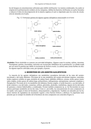 Sitio Argentino de Producción Animal
Página 4 de 14
los de bosques en concentraciones suficientes para inhibir nitrificación. Los taninos condensados, los cuales se
originan de la polimerización oxidativa de las catequinas, inhiben las bacterias nitrificantes en suelos forestales
y reducen el ritmo de descomposición de la materia orgánica el cual es importante para los ciclos de circula-
ción de minerales en el suelo.
Fig. 1.2: Estructura química de algunos agentes alelopáticos mencionados en el texto
Alcaloides: Pocos alcaloides se conocen con actividad alelopática. Algunos como la cocaína, cafeína, cinconina,
fisostigmina, quinina, cinconidina, estricnina son reconocidos inhibidores de la germinación. La cebada exuda
por sus raíces la gramina que inhibe el crecimiento de Stellaria media. La cafeína mata ciertas hierbas sin afec-
tar algunas especies cultivadas como, por ejemplo, el poroto.
4. BIOSÍNTESIS DE LOS AGENTES ALELOPÁTICOS
La mayoría de los agentes alelopáticos son metabolitos secundarios derivados de las rutas del acetato-
mevalonato o del ácido shikímico. Provienen de la ruta metabólica del acetato-mevalonato terpenos, esteroides,
ácidos orgánicos solubles en agua, alcoholes de cadena lineal, aldehídos alifáticos, cetonas, ácidos grasos insatu-
rados simples, ácidos grasos de cadena larga, poliacetilenos, naftoquinonas, antroquinonas, quinonas complejas y
floroglucinol. Provienen de la vía metabólica del shikímico fenoles simples, el ácido benzoico y sus derivados, el
ácido cinámico y sus derivados, cumarinas, sulfuros, glicósidos, alcaloides, cianhidrinas, algunos de los derivados
de quinonas y taninos hidrolizables y condensados. Existen también compuestos (p. ej. los flavonoides) en cuya
síntesis participan metabolitos de las dos rutas. Como es previsible, las concentraciones de estos compuestos en
los tejidos varía según el ritmo de biosíntesis, almacenamiento y degradación. También son afectados por los ba-
lances internos de reguladores de crecimiento vegetal y otros factores bióticos y abióticos. Es importante tener
presente que no siempre los detalles de la biosíntesis de estos compuestos son conocidos (Figura 2).
 