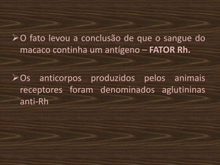 O fato levou a conclusão de que o sangue do
 macaco continha um antígeno – FATOR Rh.

Os anticorpos produzidos pelos animais
 receptores foram denominados aglutininas
 anti-Rh
 