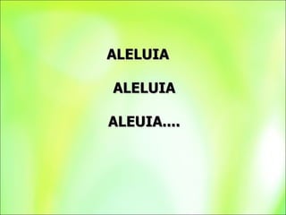 ALELUIA  ALELUIA ALEUIA.... 