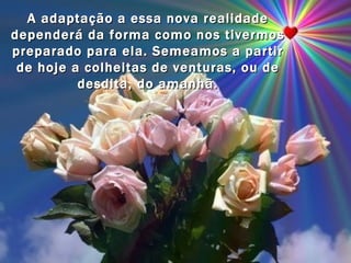A adaptação a essa nova realidade dependerá da forma como nos tivermos preparado para ela. Semeamos a partir de hoje a colheitas de venturas, ou de desdita, do amanhã. 