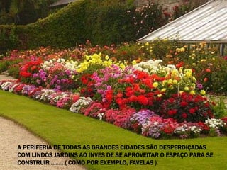 A PERIFERIA DE TODAS AS GRANDES CIDADES SÃO DESPERDIÇADAS
COM LINDOS JARDINS AO INVES DE SE APROVEITAR O ESPAÇO PARA SE
CONSTRUIR .........( COMO POR EXEMPLO, FAVELAS ).
 