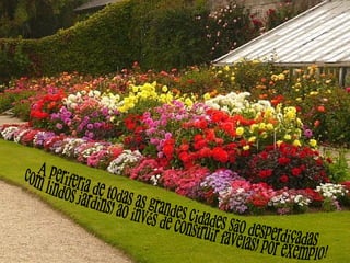 A periferia de todas as grandes cidades são desperdiçadas com lindos jardins, ao invés de construir favelas, por exemplo! 