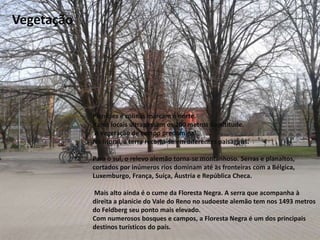 Vegetação
Planícies e colinas marcam o norte.
Raros locais ultrapassam os 200 metros de altitude.
A vegetação de campo predomina.
No litoral, a terra recorta-se em diferentes paisagens.
Para o sul, o relevo alemão torna-se montanhoso. Serras e planaltos,
cortados por inúmeros rios dominam até às fronteiras com a Bélgica,
Luxemburgo, França, Suíça, Áustria e República Checa.
Mais alto ainda é o cume da Floresta Negra. A serra que acompanha à
direita a planície do Vale do Reno no sudoeste alemão tem nos 1493 metros
do Feldberg seu ponto mais elevado.
Com numerosos bosques e campos, a Floresta Negra é um dos principais
destinos turísticos do país.
 