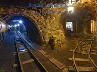 Região Mineira de
Erzgebirge/Krušnohoří
 