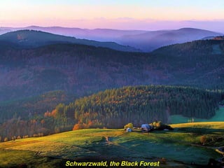 Schwarzwald, the Black Forest
 