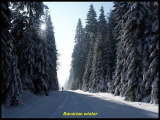 Bavarian winter
 