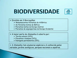  Dividido em 3 Biorregiões:
     Remanescentes florestais do Atlântico;
     As florestas mistas do Báltico;
     Florestas mistas da Europa Central;
     Florestas de angiospermas da Europa Ocidental.


 A maior parte da Alemanha é coberta por:
     Terras aráveis (33%);
     Florestas e bosques (31%);
     Pastagens permanentes (15%).

 A Alemanha tem enumeras espécies e é conhecida pelos
variados jardins zoológicos, parques nacionais e aquários.
 