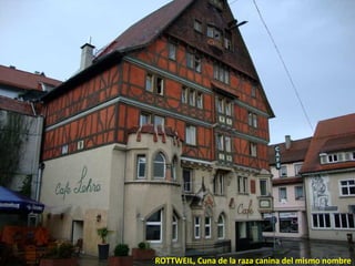 ROTTWEIL, Cuna de la raza canina del mismo nombre
 