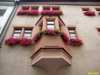 ROTTWEIL
 