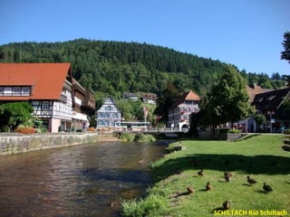 SCHILTACH Río Schiltach
 