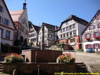 SCHILTACH Fuente de la Plaza del Mercado
 