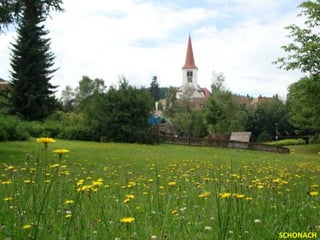 SCHONACH
 